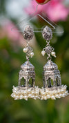 Sanskrit Yazılı Tapınak Jhumka